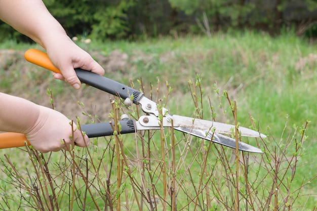 Arbeiten Sie im Frühling und Herbst im Garten