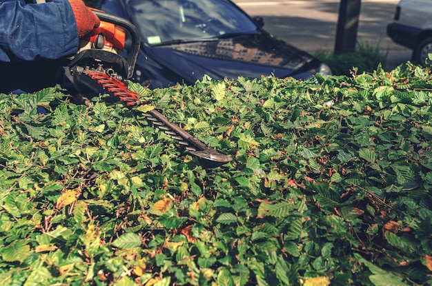 Arbeiter beschneidet grünen Busch Garten Benzinschere Hecke Arbeiten im Garten Beschneiden von Büschen in der Stadt