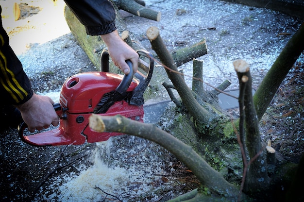 Arbeiter, der Holz mit einer Kettensäge schneidet.