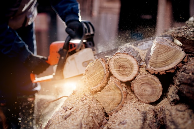 Arbeiter Holzfäller eine Kettensäge, die ein Holz sägt.