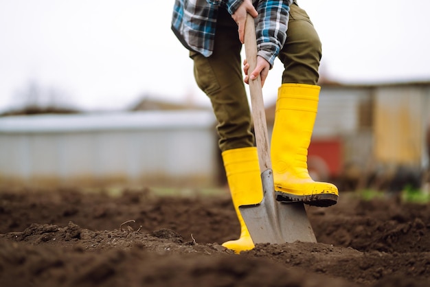 Arbeiterin gräbt Erde mit Schaufel im Gemüsegarten Landwirtschaft und hartes Arbeitskonzept