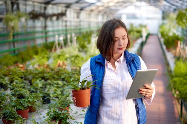 Arbeiterin im Gewächshaus, die Topf mit Zimmerpflanze und Tablette in den Händen hält, sammelt