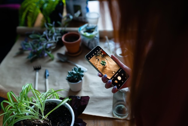 Foto arbeitsplatz verpflanzung einer blume person, die mit dem handy fotografiert