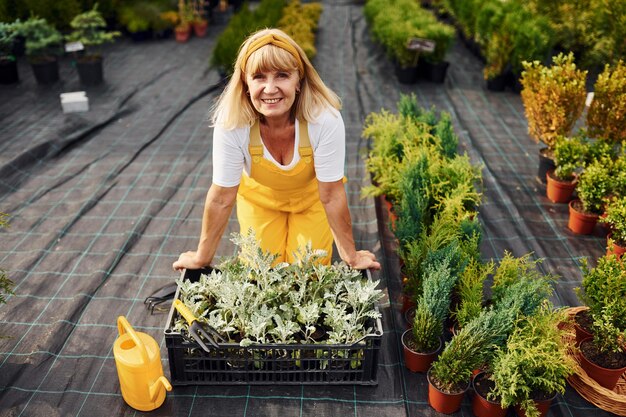 Arbeitstag In gelber Uniform Seniorin ist tagsüber im Garten Konzeption von Pflanzen und Jahreszeiten