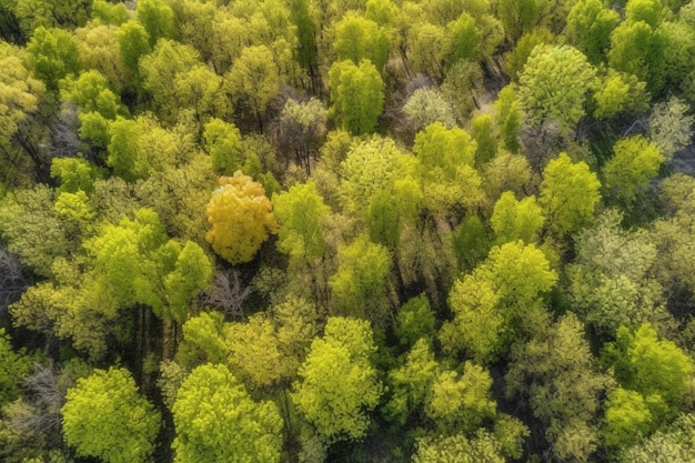 Un árbol amarillo en un bosque.