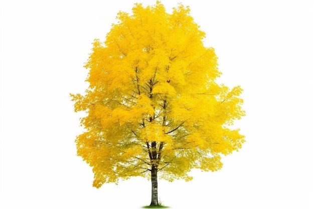 un árbol amarillo con la palabra "caída".