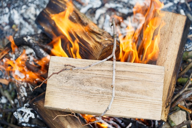 Foto el árbol arde en el fuego. picnic al aire libre. preparación para freír carne.