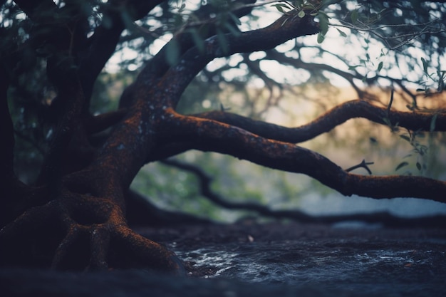 Un árbol en el bosque con la palabra árbol.