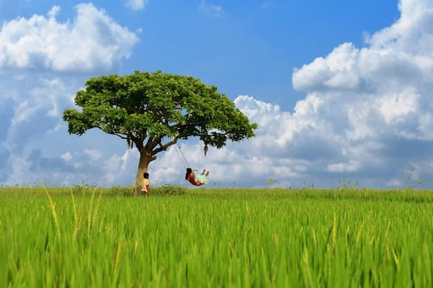 Un árbol en un campo con dos niños en un columpio.