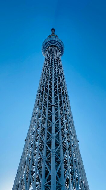 Foto el árbol del cielo de tokio