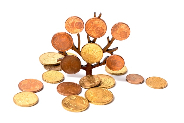 Un árbol crece con monedas en sus ramas sobre un fondo blanco.