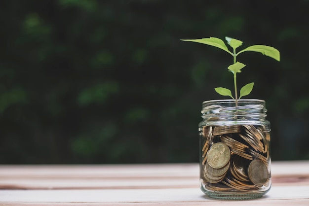 El árbol crece en monedas en vidrio gar claro sobre fondo verde Concepto de negocios y finanzas