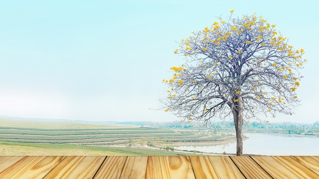 Árbol creciendo en una granja a la orilla del río contra un cielo despejado