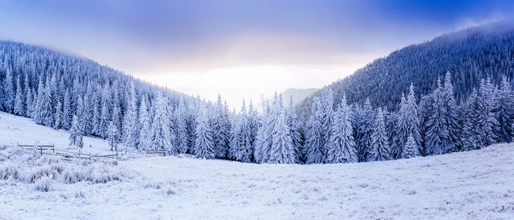 Foto árbol cubierto de nieve de invierno mágico