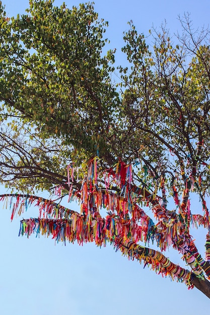 Un árbol de deseos con cintas de colores.