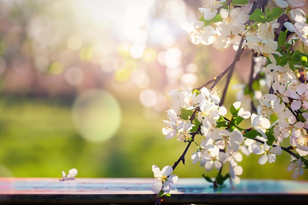 Un árbol con flores blancas en primavera.