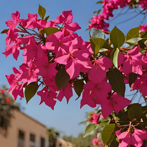 Foto un árbol con flores púrpuras que dicen primavera