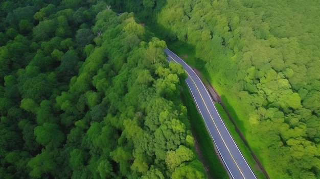 Árbol forestal de vista superior aérea con concepto de entorno de ecosistema de automóvil Carretera de campo que pasa por el bosque verde y la montaña