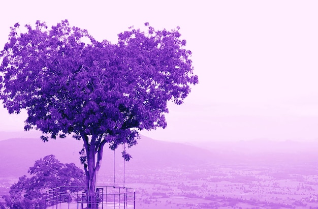 Foto Árbol en forma de corazón de estilo surrealista de arte pop en cielo nublado en tono de color púrpura