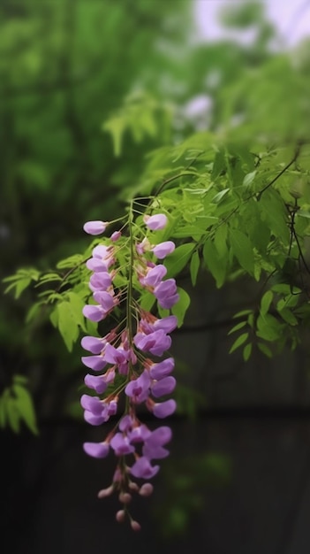 Un árbol de glicina con flores moradas colgando de él.