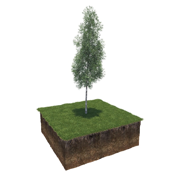 árbol en la hierba y un trozo de tierra debajo de él, render 3d