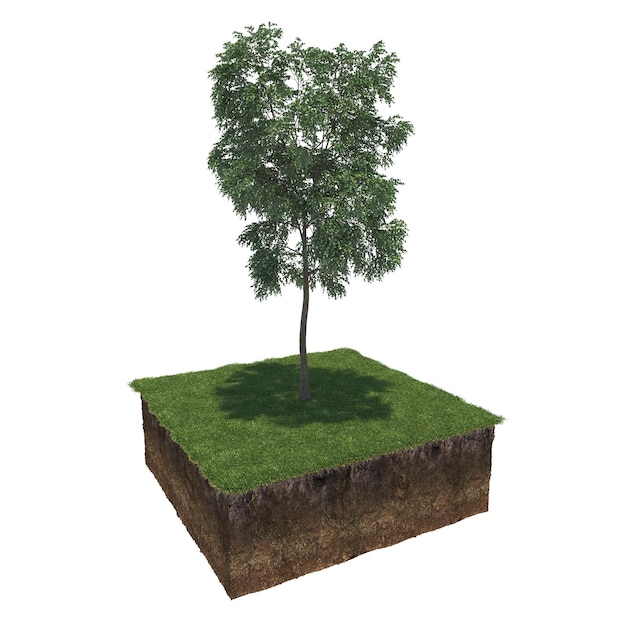 árbol en la hierba y un trozo de tierra debajo de él, render 3d