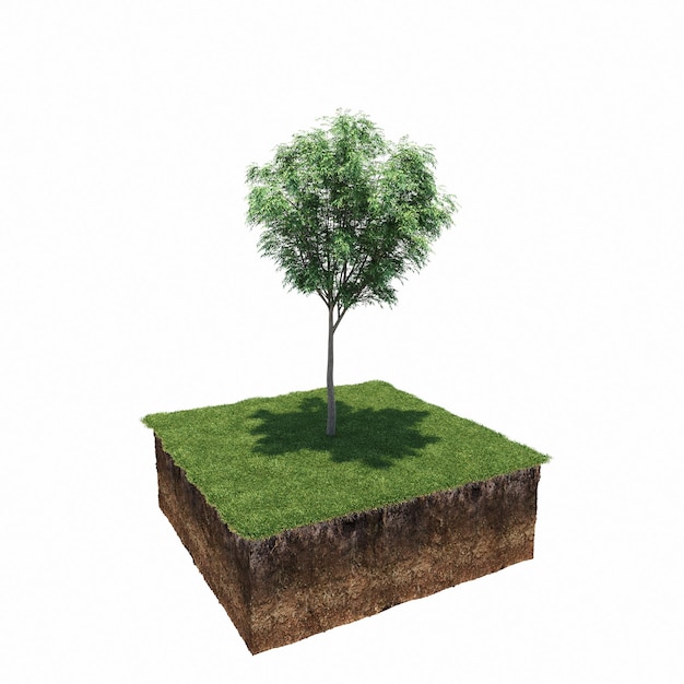 árbol en la hierba y un trozo de tierra debajo de él, render 3d