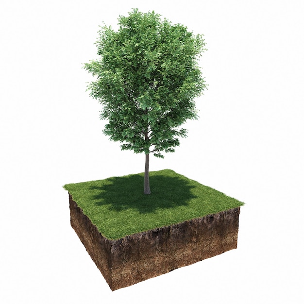 árbol en la hierba y un trozo de tierra debajo de él, render 3d