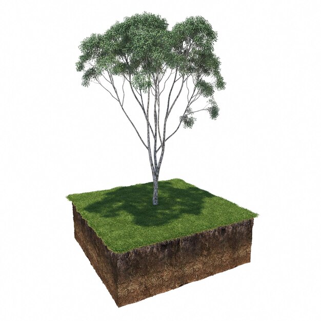 árbol en la hierba y un trozo de tierra debajo de él, render 3d