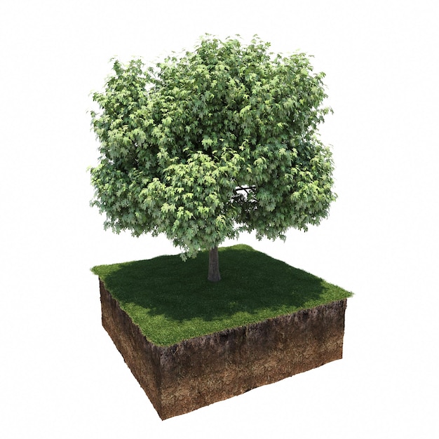 árbol en la hierba y un trozo de tierra debajo de él, render 3d