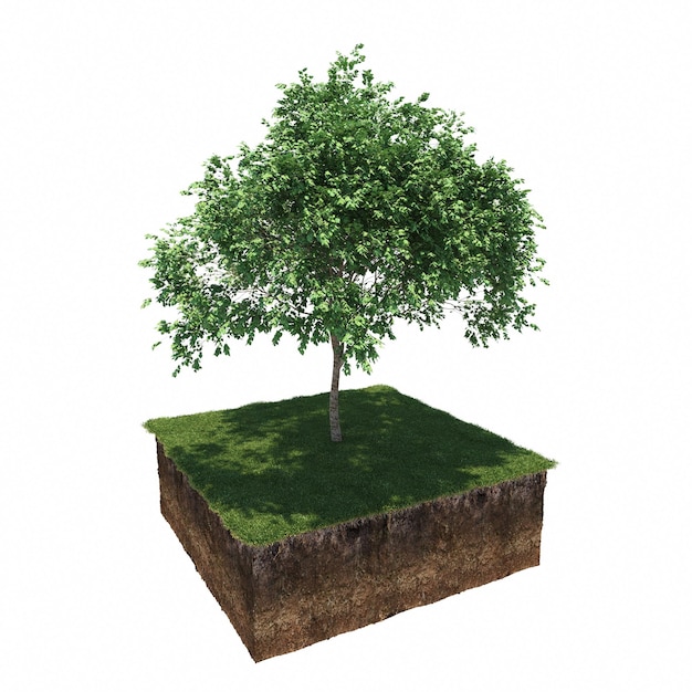 árbol en la hierba y un trozo de tierra debajo de él, render 3d