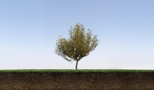 Foto Árbol en la hierba y un trozo de tierra debajo de él, render 3d