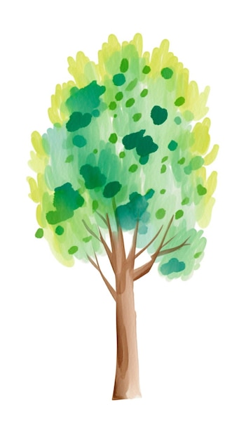 Un árbol con hojas verdes y un fondo blanco.