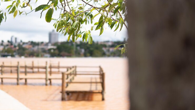 Un árbol con hojas verdes en el fondo un lago con un muelle de madera y algunos edificios en la parte posterior