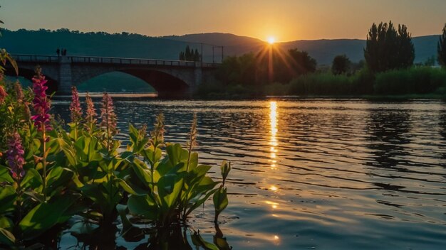 Foto Árbol en un lago al amanecer