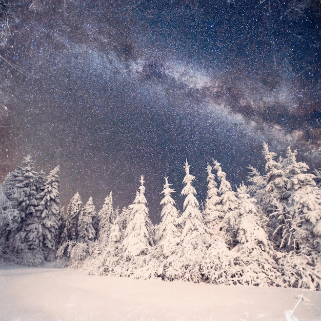 Foto Árbol mágico en la noche estrellada de invierno efecto vintage