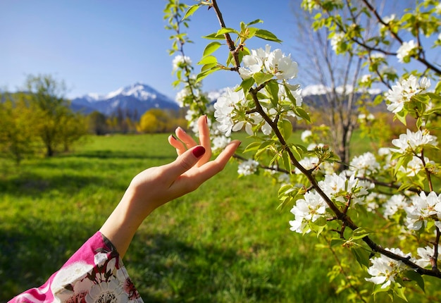 Árbol de mano y flor de mujer en primavera