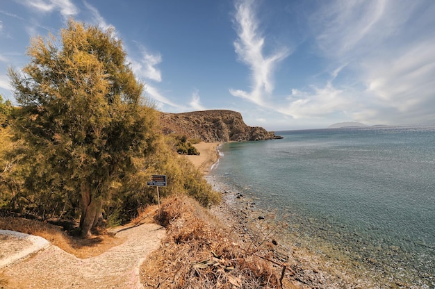 Árbol y montaña al lado de la playa.