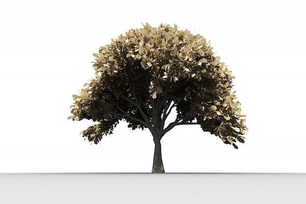 Árbol con muchas hojas creciendo