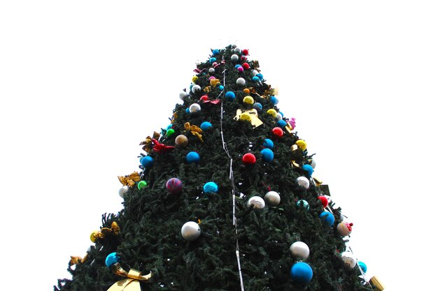 árbol de Navidad de cerca