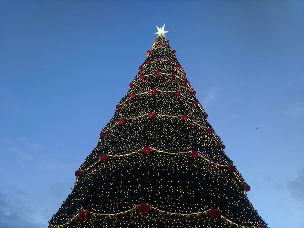 árbol de navidad Colección de foto