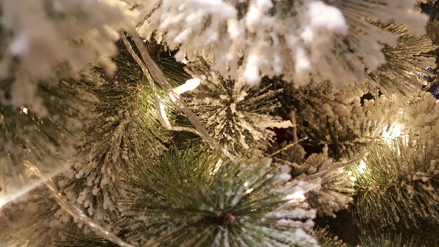 Foto Árbol de navidad decorado