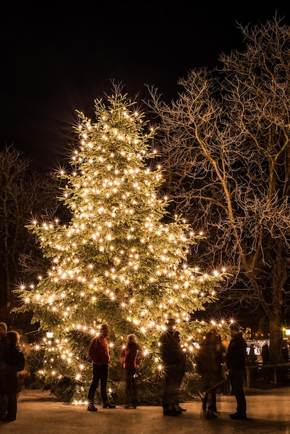 Árbol de Navidad iluminado en la ciudad por la noche