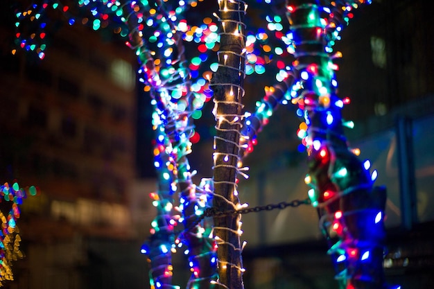 Foto Árbol de navidad iluminado por la noche