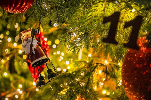 Foto Árbol de navidad iluminado en la planta