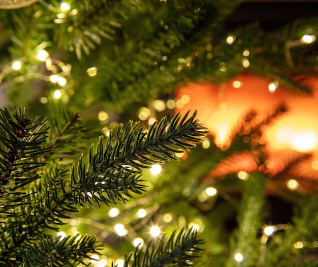 El árbol de navidad y las luces cierran el fondo de la chimenea ardiente