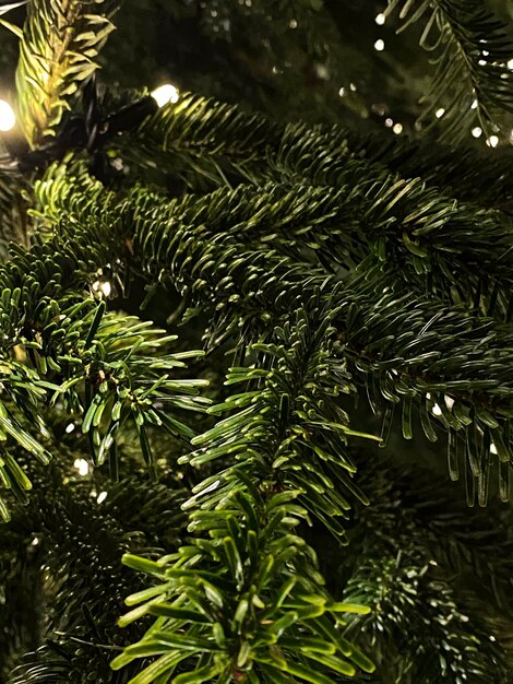 Foto Árbol de navidad con luces y fondo de navidad o año nuevo