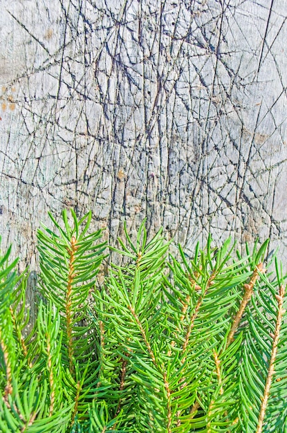 Foto arbol de navidad en madera