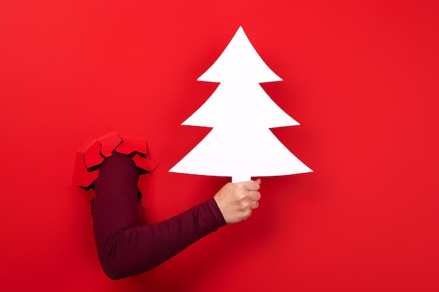 árbol de navidad en la mano