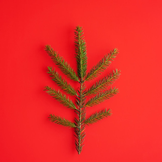 Foto Árbol de navidad minimalista hecho de planta de abeto perenne sobre fondo rojo.